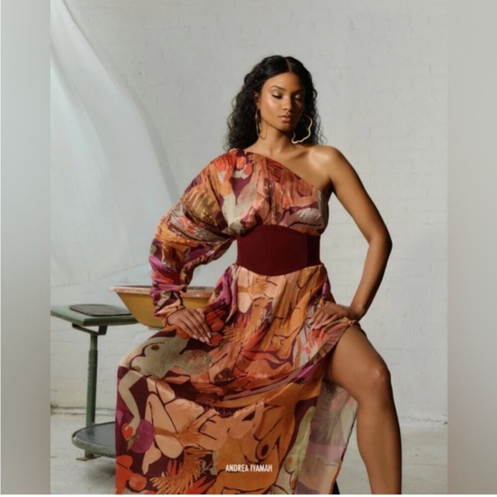 NWT ANDREA IYAMAH LETTI DRESS
one size